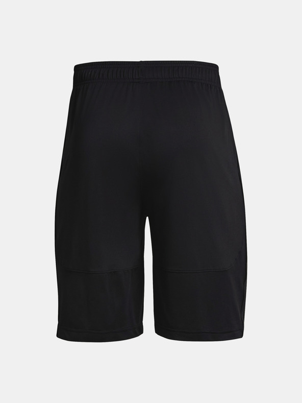 Under Armour Pánske kraťasy Under Armour UA Raid 2.0 Shorts