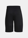 Under Armour Pánske kraťasy Under Armour UA Raid 2.0 Shorts