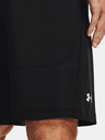 Under Armour Pánske kraťasy Under Armour UA Raid 2.0 Shorts