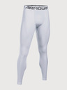 Under Armour Pánske legíny Under Armour Hg 2.0 Legging