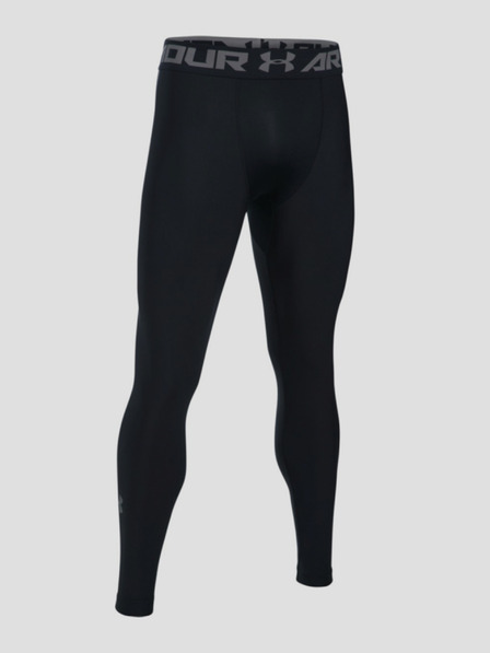 Under Armour Pánske legíny Under Armour Hg 2.0 Legging