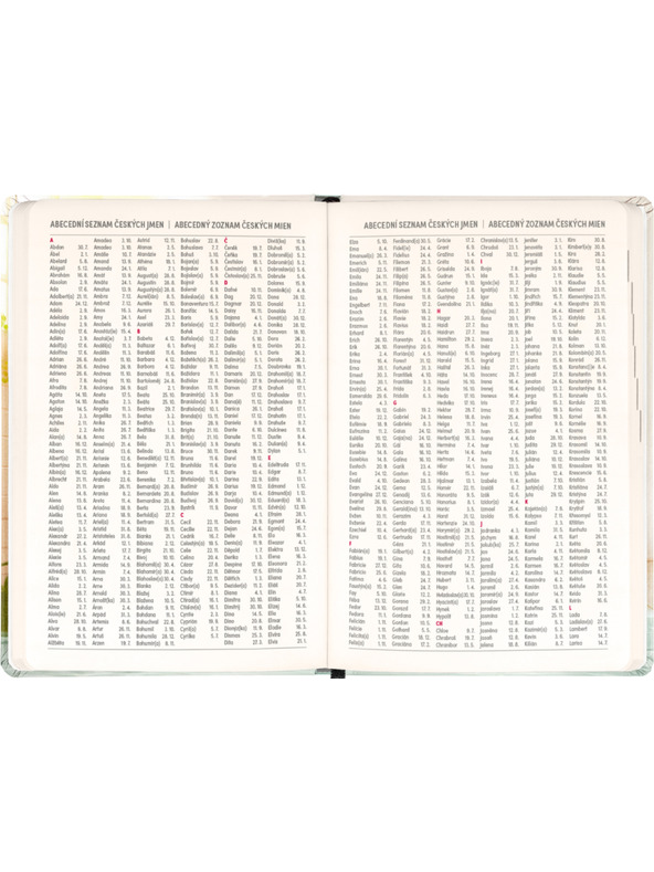 NOTIQUE NOTIQUE 18mesačný denník Petito – Kapybara 2026/2027, 11 x 16 cm