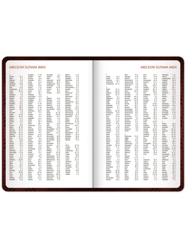 NOTIQUE NOTIQUE Študentský denník Harry Potter (september 2026 – december 2027), 9,8 x 14,5 cm