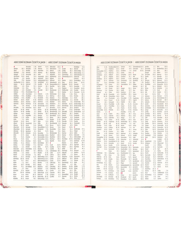 NOTIQUE NOTIQUE 18mesačný denník Petito – Japonsko 2026/2027, 11 x 16 cm