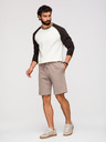 Ombre Clothing Sada dvoch pánských teplákových šoriek regular fit z french terry tkaniny - béžová/svetlo zelená V2 Z125 Ombre Clothing
