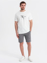 Ombre Clothing Sada dvoch pánskych teplákových šoriek s potlačou - svetlo modrá/sivá V2 Z127 Ombre Clothing