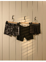 Celio Boxerky Mike Tyson