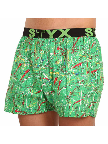 Styx Pánske športové šortky Styx art Jáchym