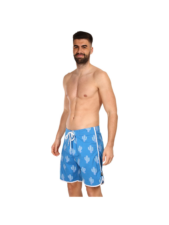 69slam Pánske plavky 69SLAM desert scene blue theo
