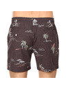 Rip Curl Pánske plavky Rip Curl viacfarebné