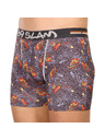 69slam Pánske boxerky 69SLAM fit mayan head dylan