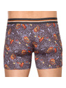 69slam Pánske boxerky 69SLAM fit mayan head dylan