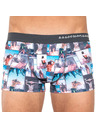 69slam Pánske boxerky 69SLAM hip under the palm