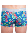 69slam Pánske boxerky 69SLAM hip bamboo leilani