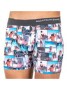 69slam Pánske boxerky 69SLAM fit under the palm