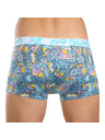 69slam Pánske boxerky 69SLAM Hip TROPICAL VISION MASON