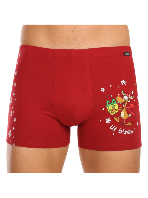 andrie Sada troch - pánske boxerky Andrie viacfarebné