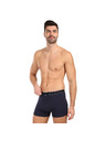 andrie Pánske boxerky Andrie viacfarebné (PS 5828/dark blue)