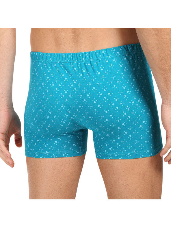 andrie Sada troch - pánske boxerky Andrie viacfarebné