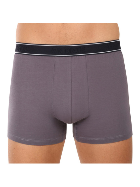 andrie Pánske boxerky Andrie viacfarebné (PS 5828/light gray)