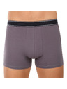 andrie Pánske boxerky Andrie viacfarebné (PS 5828/light gray)