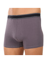 andrie Pánske boxerky Andrie viacfarebné (PS 5828/light gray)
