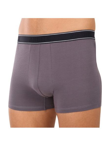 andrie Pánske boxerky Andrie viacfarebné (PS 5828/light gray)