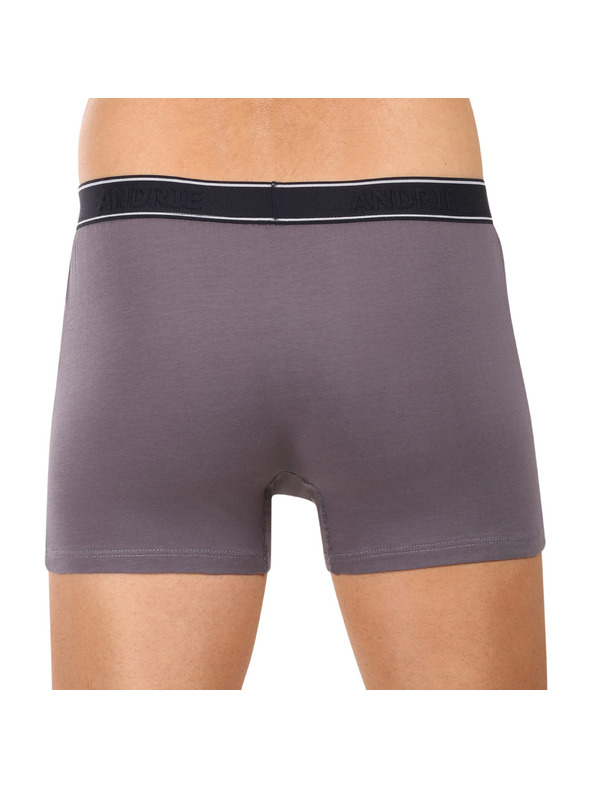 andrie Pánske boxerky Andrie viacfarebné (PS 5828/light gray)