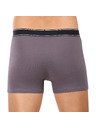 andrie Pánske boxerky Andrie viacfarebné (PS 5828/light gray)