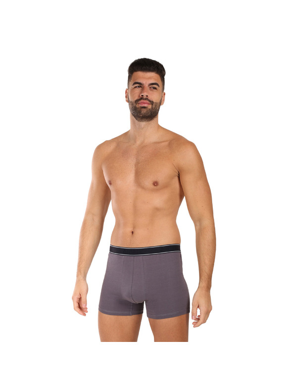 andrie Pánske boxerky Andrie viacfarebné (PS 5828/light gray)