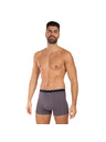 andrie Pánske boxerky Andrie viacfarebné (PS 5828/light gray)