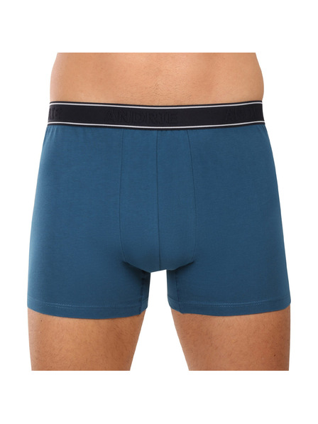 andrie Pánske boxerky Andrie viacfarebné (PS 5828/green)