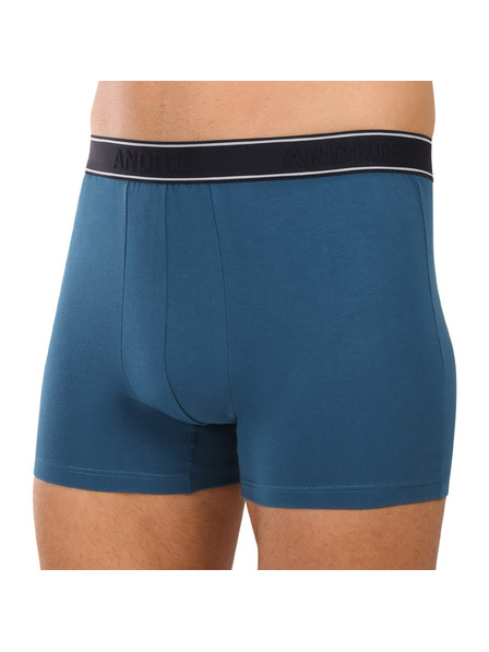 andrie Pánske boxerky Andrie viacfarebné (PS 5828/green)