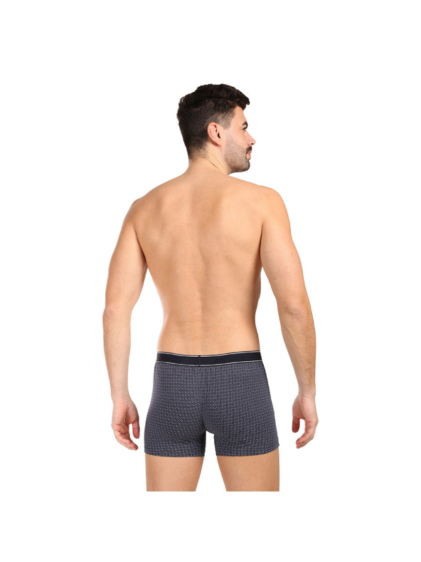 andrie Pánske boxerky Andrie viacfarebné (PS 5636/grey)