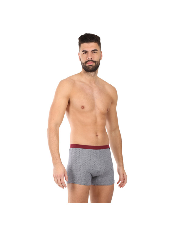 andrie Sada troch - pánske boxerky Andrie sivé