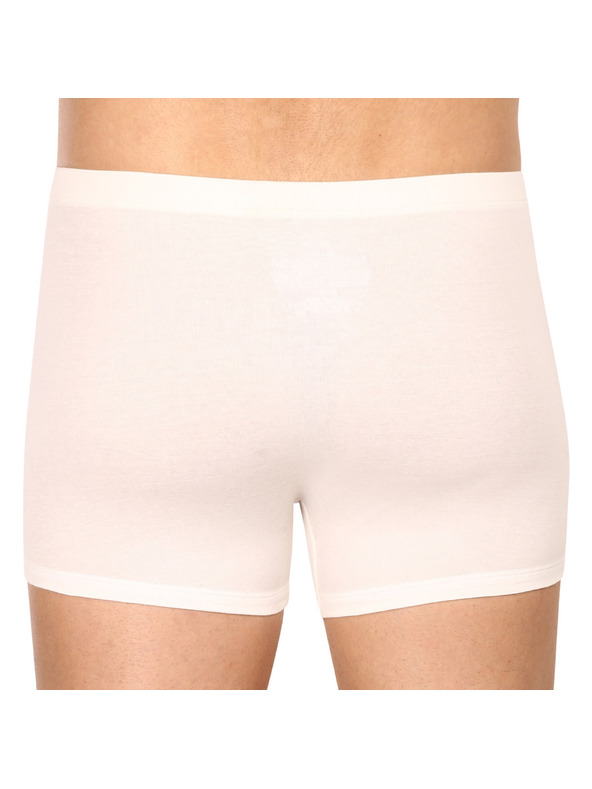 Calvin Klein Sada troch - pánske boxerky Calvin Klein viacfarebné