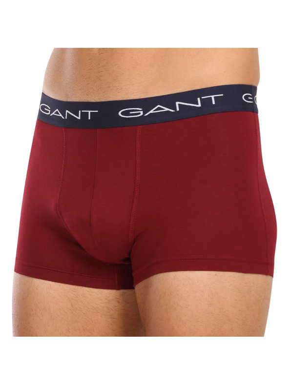 Gant Sada troch - pánske boxerky Gant viacfarebné