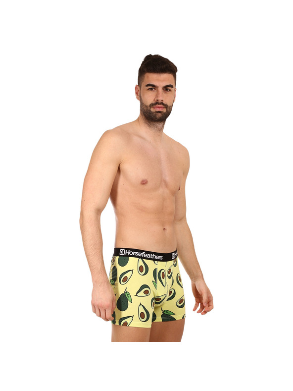Horsefeathers Sada troch - pánske boxerky Horsefeathers Sidney