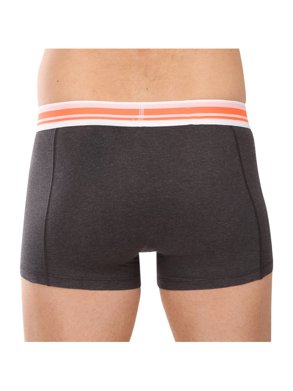 Puma Sada dvoch - pánske boxerky Puma viacfarebné