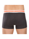 Puma Sada dvoch - pánske boxerky Puma viacfarebné
