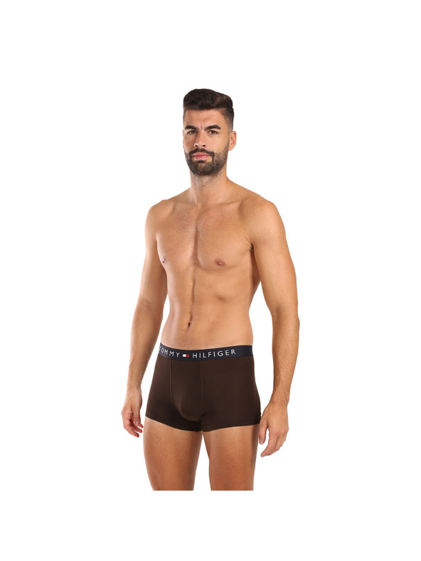 Tommy Hilfiger Sada troch - pánske boxerky Tommy Hilfiger viacfarebné