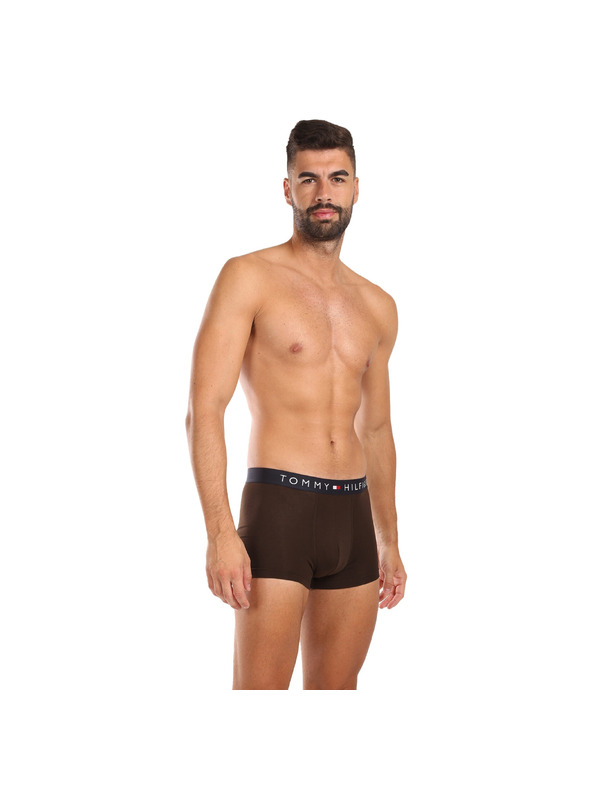 Tommy Hilfiger Sada troch - pánske boxerky Tommy Hilfiger viacfarebné
