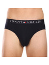 Tommy Hilfiger Sada troch - pánske slipy Tommy Hilfiger modré