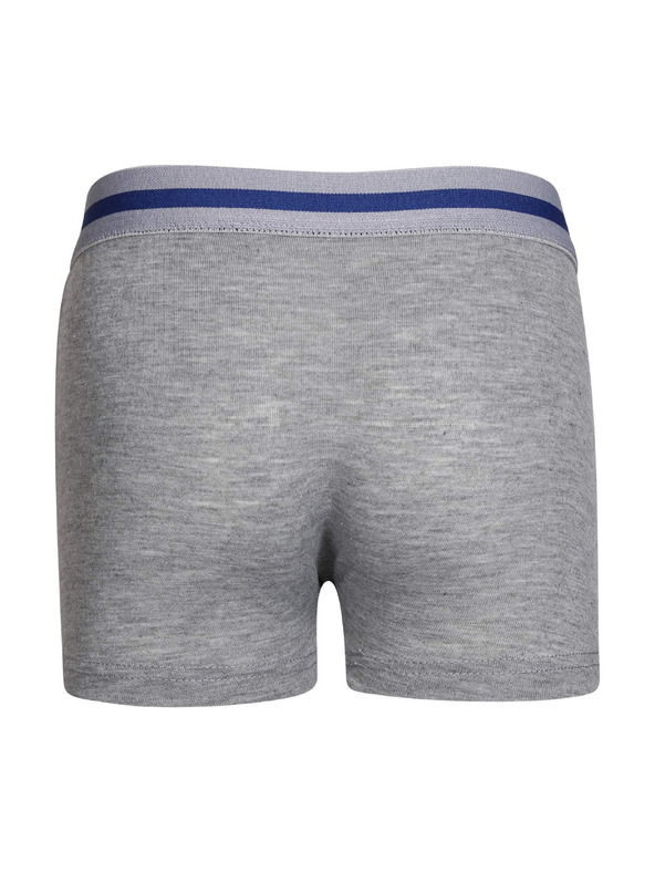 Gianvaglia Detské boxerky Gianvaglia sivé
