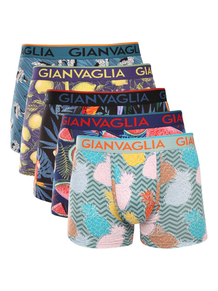 Gianvaglia Sada piatich - pánske boxerky Gianvaglia viacfarebné