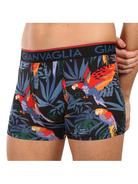 Gianvaglia Sada piatich - pánske boxerky Gianvaglia viacfarebné