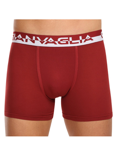 Gianvaglia Sada piatich - pánske boxerky Gianvaglia viacfarebné