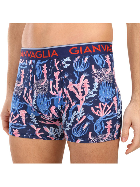 Gianvaglia Sada piatich - pánske boxerky Gianvaglia viacfarebné