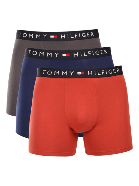 Tommy Hilfiger Sada troch - pánske boxerky Tommy Hilfiger viacfarebné