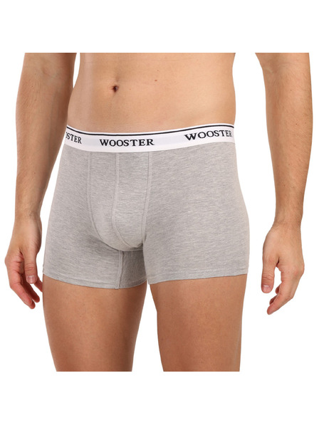 Wooster Sada troch - pánske boxerky Wooster sivé
